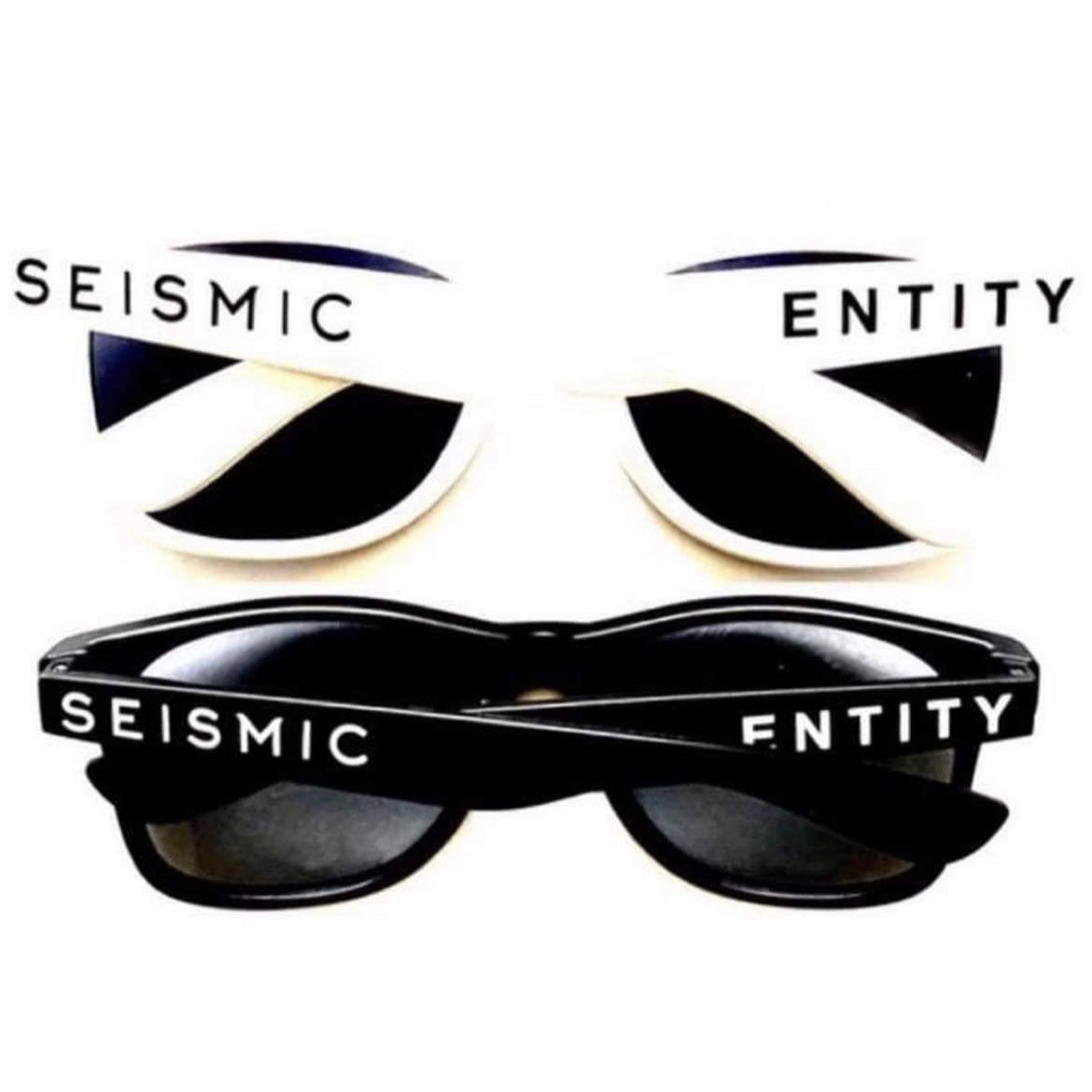 Seismic Entity Sunglasses
